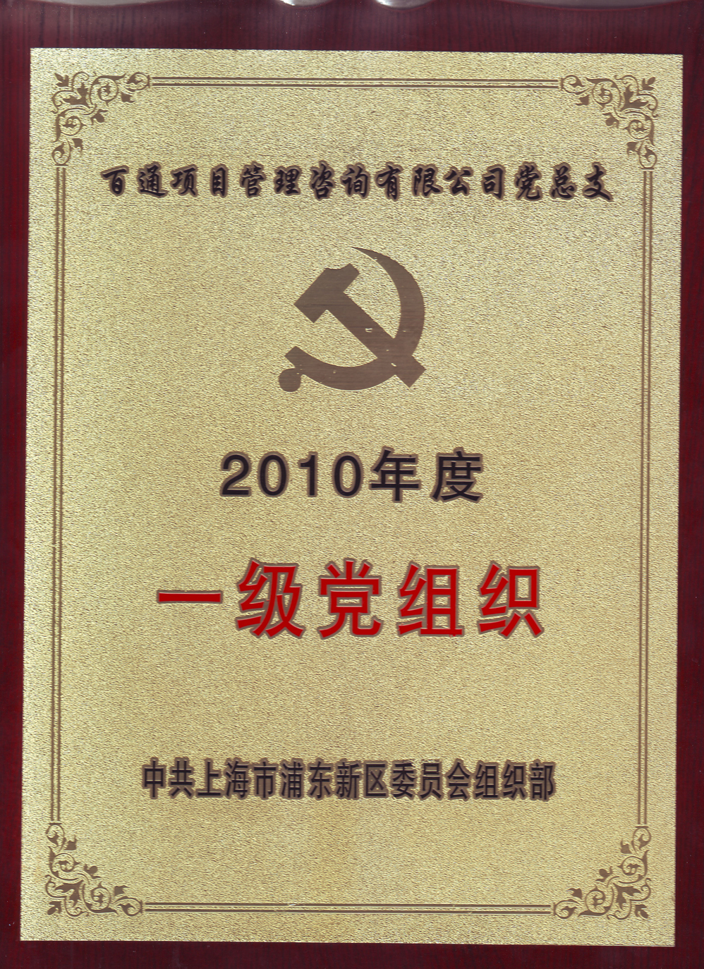 2010年度一级党组织