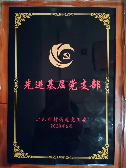 代建监理党支部-沪东新村街道先进基层党支部