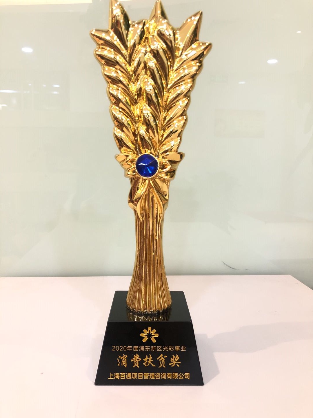 2020年度浦东新区光彩事业“消费扶贫奖”