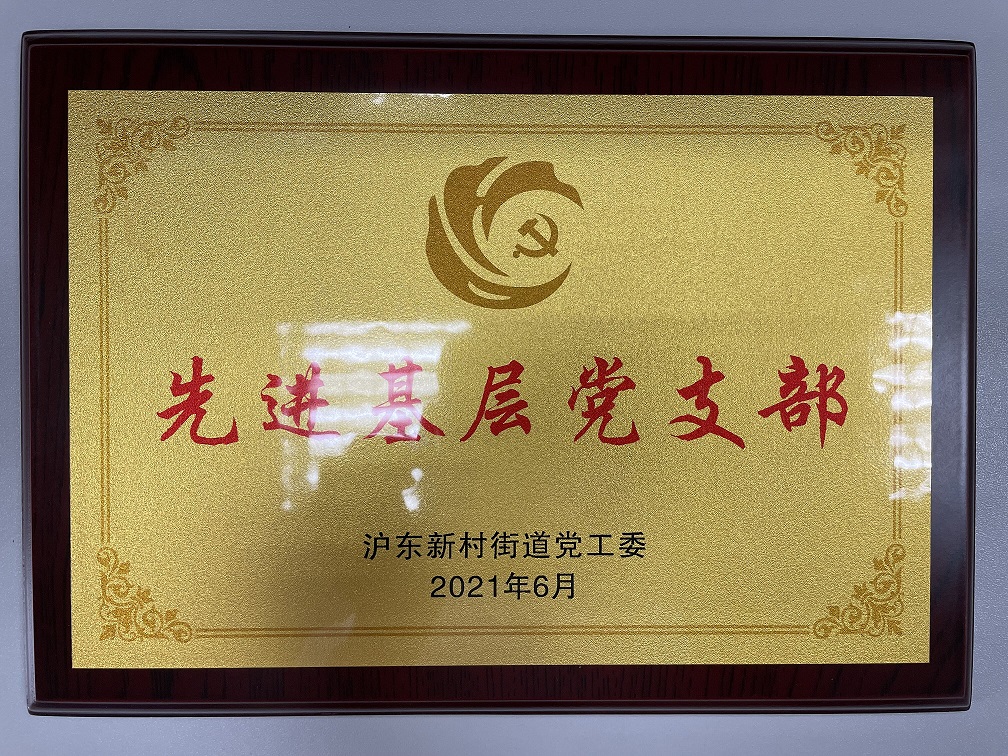 造价党支部获沪东新村街道2021年“先进基层党支部”